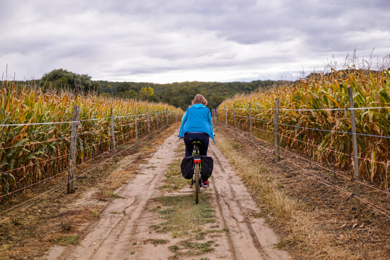 Bérbaltavár és Olaszfa között